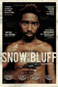 Snow on the bluff